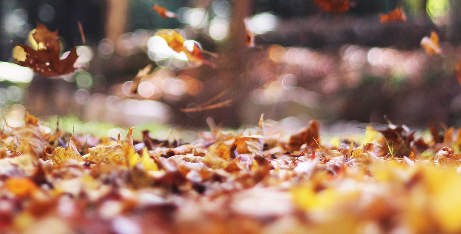 Likelihood vs. Probability, What’s the Difference (and Why It Matters in Machine Learning)?